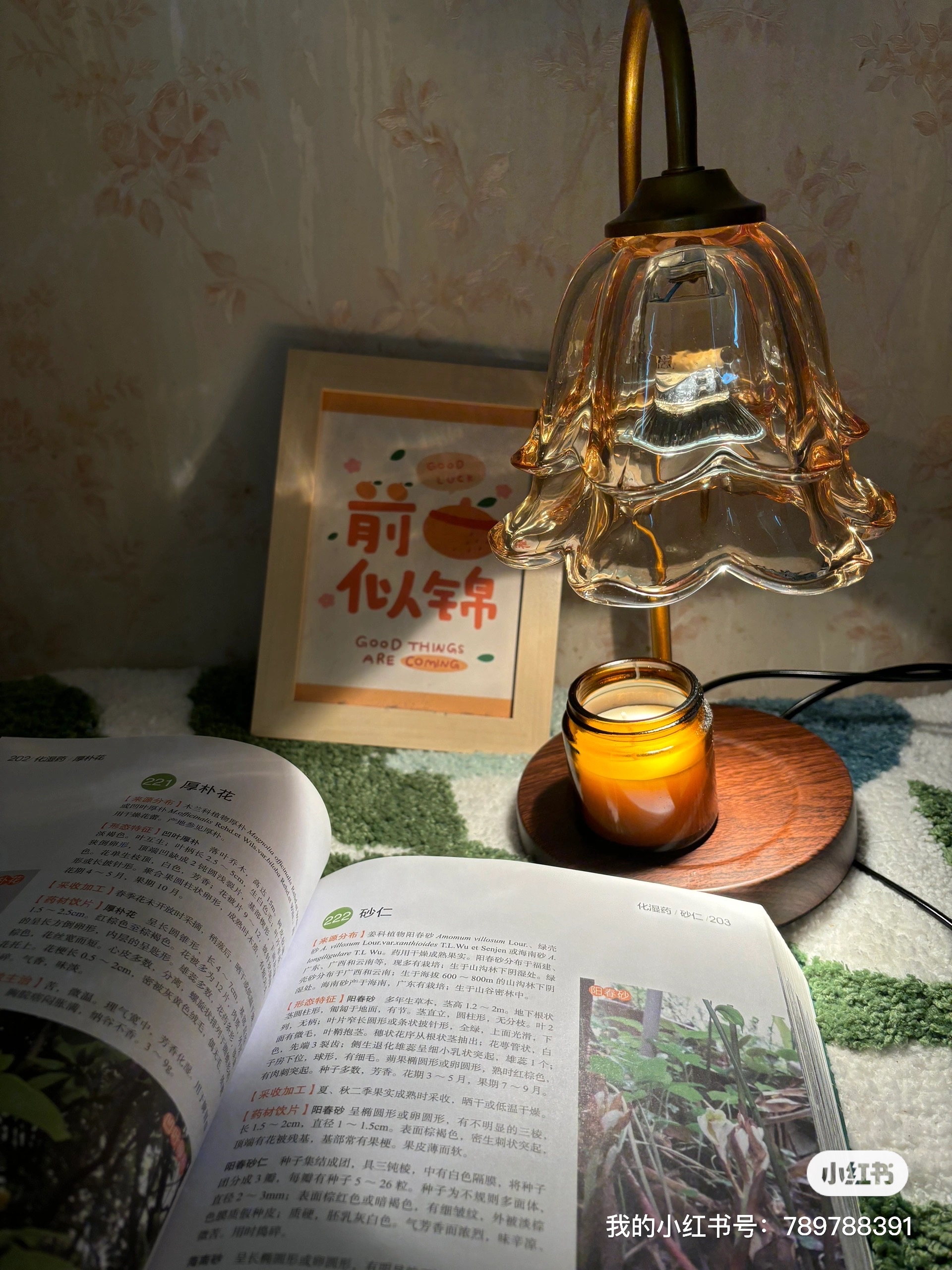 有声书与散步对表：让耳朵和脚共用一个节奏